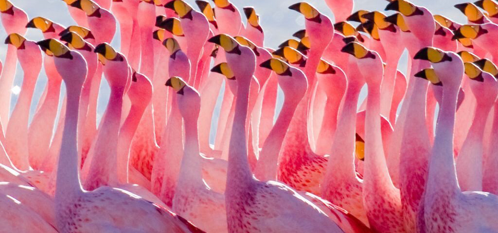 La Comunicazione Facilitata