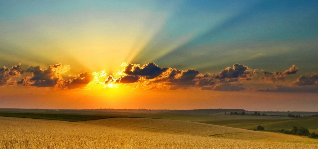 Il mondo è bello . . .