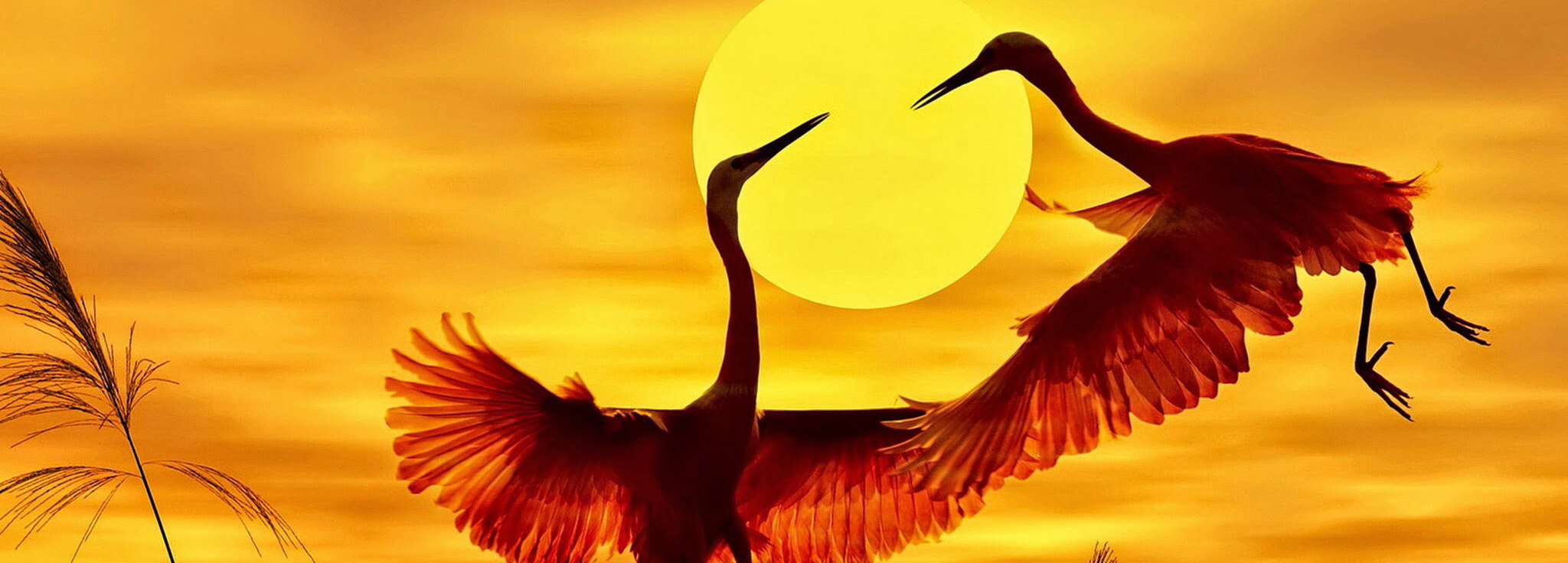 Equilibrio tra sé e se e autostima