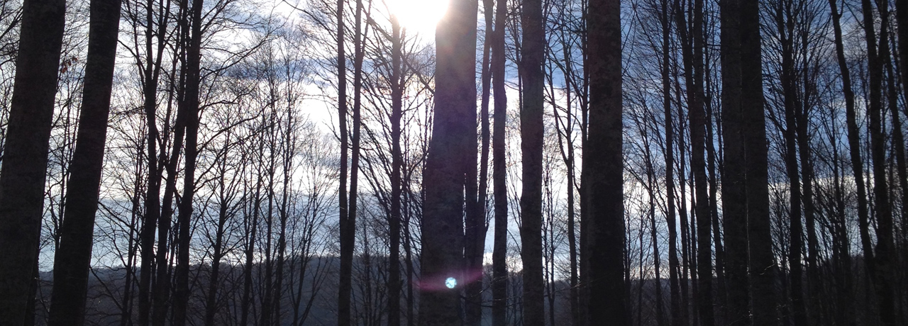 Chiedere aiuto? Non sia mai!