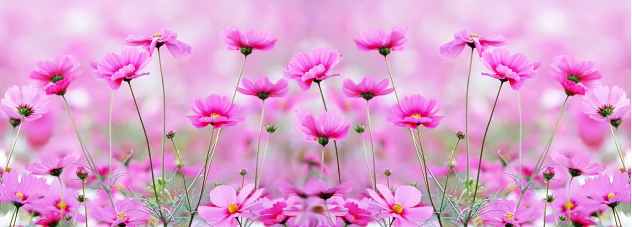 Sei pronto a un NO come risposta?