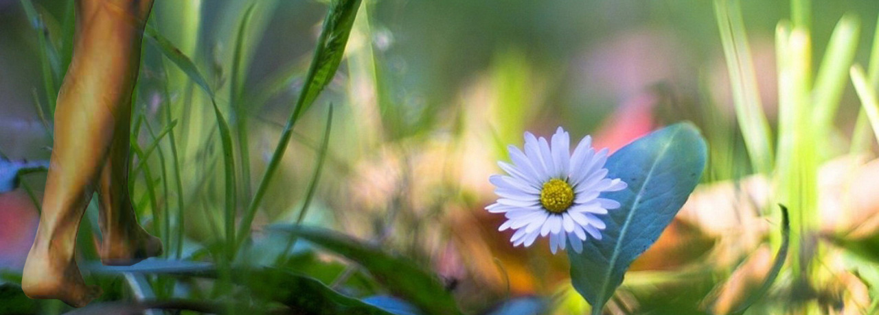 A volte per fare un passo avanti, è utile farne uno indietro