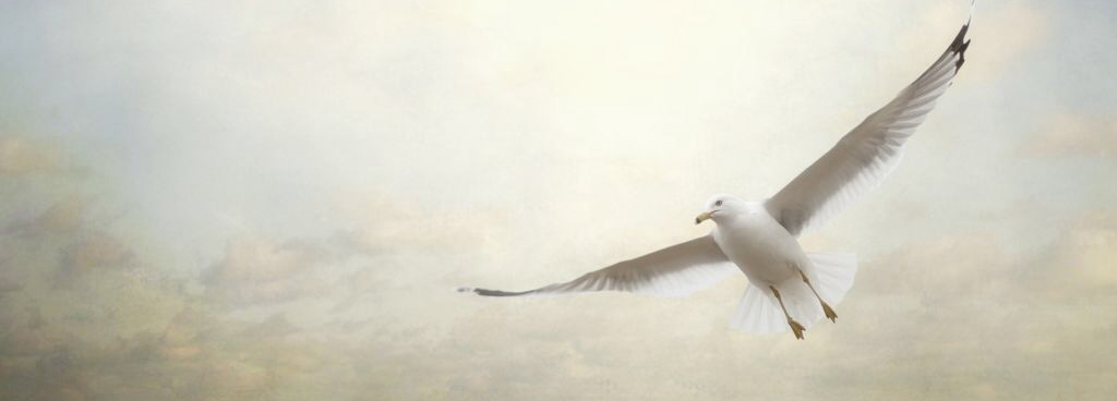 Le sette virtù… e il monaco che vendette la sua Ferrari