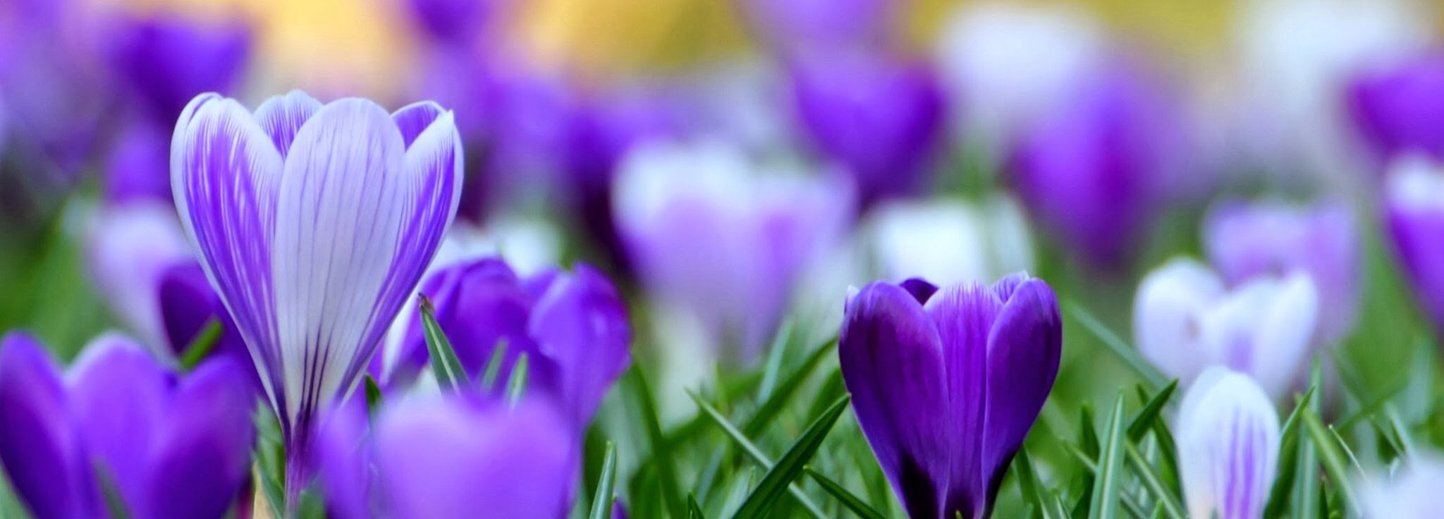 Spiritualità e mercato religioso