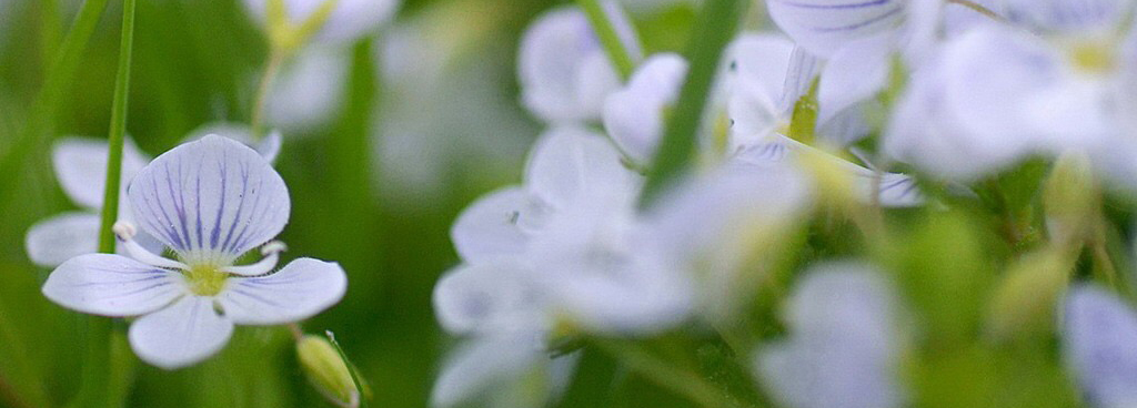 Ma come, non stavamo parlando di…