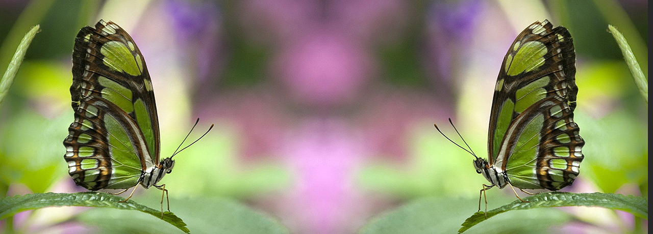 Una madre difettosa?